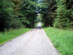 Et typisk billed fra hærvejen mellem Funder og Randbøl. Smal vej omkranset af skov/plantager på begge sider 